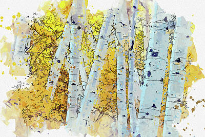 Abstract Skyline Rights Managed Images - Aspens on June Lake Loop_1, ca 2021 by Ahmet Asar, Asar Studios Royalty-Free Image by Celestial Images