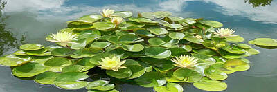 Lilies Royalty Free Images - At the Lily Pond Royalty-Free Image by Teresa Wilson