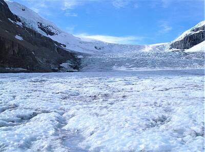 Olympic Sports - Athabasca glacier 3 by Athol KLIEVE
