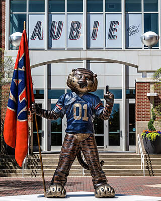 Football Royalty-Free and Rights-Managed Images - Aubie by Gej Jones