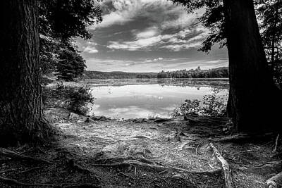 Royalty-Free and Rights-Managed Images - Auburn Lake Secret Place At The Basin 24 by Bob Orsillo