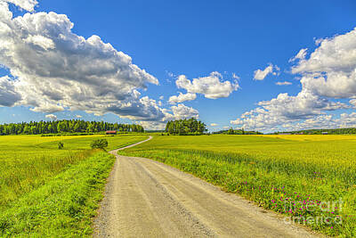 Royalty-Free and Rights-Managed Images - August landscape by Veikko Suikkanen