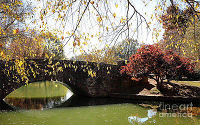 Wine Royalty-Free and Rights-Managed Images - Autumn Bridge at Freedom Park by Robert Yaeger