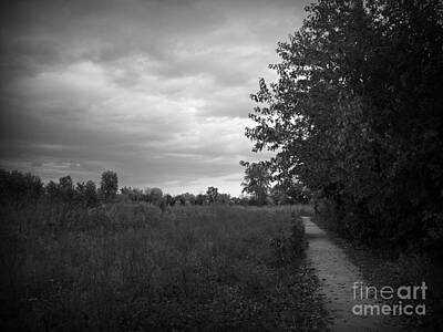 Frank J Casella Rights Managed Images - Autumn Colors Stormy Skies Along The Prairie Trail - Black And White Royalty-Free Image by Frank J Casella