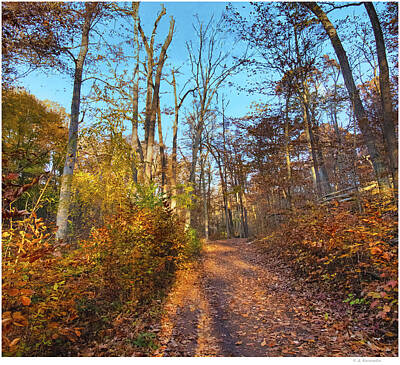 Fall Pumpkins Rights Managed Images - Autumn Forest Path, Pennsylvania Royalty-Free Image by A Macarthur Gurmankin