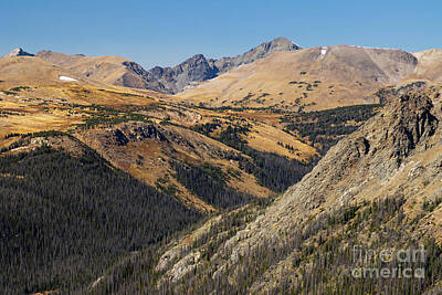 Steven Krull Royalty Free Images - Autumn Glory on Trail Ridge Road Colorado Royalty-Free Image by Steven Krull