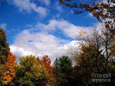 Frank J Casella Rights Managed Images -  Autumn In Illinois - Frank J Casella Royalty-Free Image by Frank J Casella