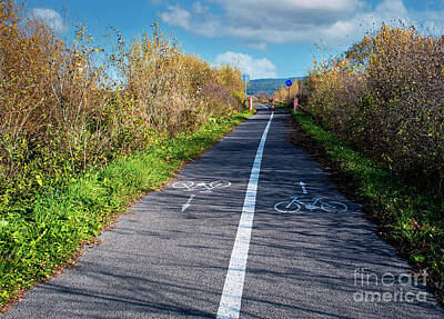 Black And White Line Drawings - Autumn Landscape On A Bike Path by Jozef Jankola