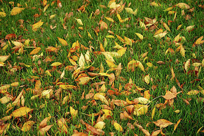 Renoir Rights Managed Images - Autumn leaves II Royalty-Free Image by Patrick Baehl de Lescure