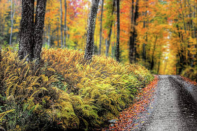 Whimsically Poetic Photographs - Autumn on Long Pond Road by Wayne King