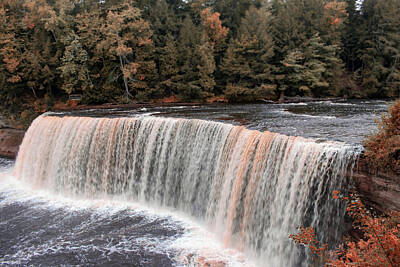 Beer Photos - Autumns Elegance - Root Beer Falls View at Tahquamenon by Brigitte Thompson