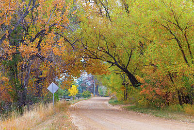 James Bo Insogna Royalty Free Images - Autumns Enchantment - The Country Road Canopy Royalty-Free Image by James BO Insogna