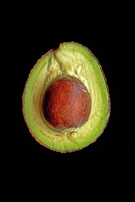 Ira Marcus Royalty-Free and Rights-Managed Images - Avocado by Ira Marcus