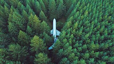 Just In The Nick Of Time - Awesome Enthralling Crashed Airline Plane Woods High Resolution by Hi Res