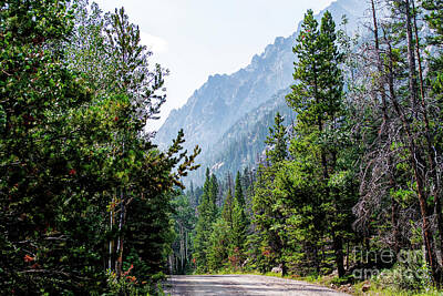 Shaken Or Stirred - Backroads Of The Rockies by Jennifer Jenson