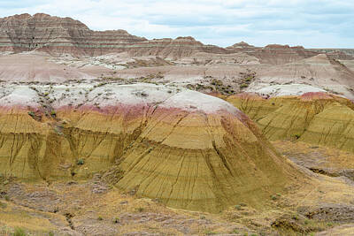 Red Roses - Badlands yellow mounds by Chris Augliera