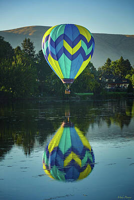Cactus - Balloon 1030 by Mike Penney