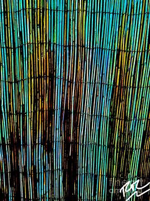 Abstract Royalty-Free and Rights-Managed Images - Bamboo Divider by RTC Abstracts