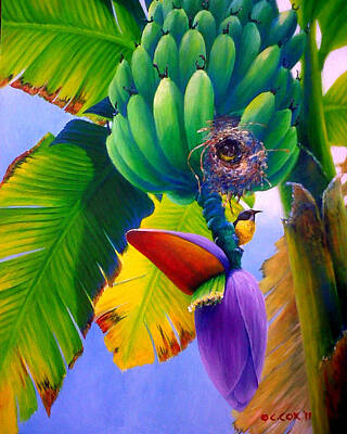 Food And Beverage Paintings - Bananaquit in banana tree by Christopher Cox