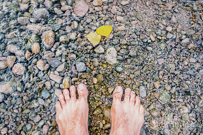 Frog Photography Rights Managed Images - Bare feet cooling off in a stream full of pebbles, revitalizing massage in nature. Royalty-Free Image by Joaquin Corbalan