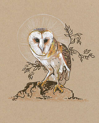 Birds Drawings Rights Managed Images - Barn Owl  Royalty-Free Image by Katherine Nutt