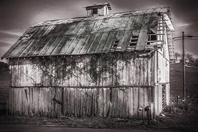 African American Abstracts - Barn White by Jim Love