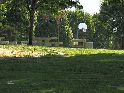 Fromage - Basketball Court Seating by Richard Thomas