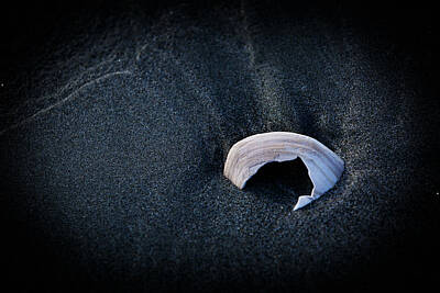 The Delicate Female - Beach Abstract 103 by Mike Penney