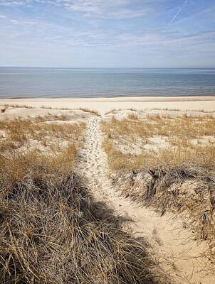 Abstract Landscape Photos - Beach Path at Saugatuck Dunes by Michelle Calkins