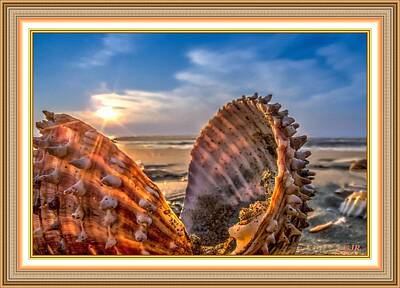 Whimsical Flowers - Beach Shell Find With Sunrise Fantasia L A S - With Printed Frame. by Gert J Rheeders