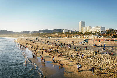 Amy Hamilton Animal Collage - Beachside in Santa Monica 02 by Jon Bilous