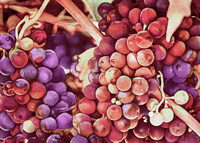 Wine Digital Art - Beaujolais by Susan Maxwell Schmidt
