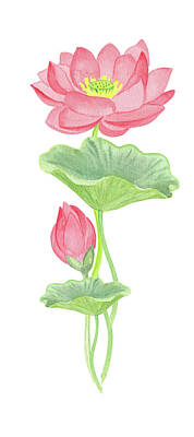 Lilies Royalty Free Images - Beautiful Pink Watercolor Lotus Flower  Royalty-Free Image by Irina Sztukowski