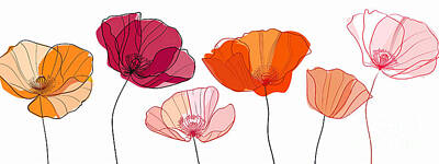 Floral Digital Art - Beautiful poppy banner by Jasmin Awad