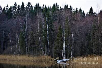 Christmas Christopher And Amanda Elwell Rights Managed Images - Beautiful scenery at the lake in the Nuuksio Nationalpark Royalty-Free Image by Pis Ces