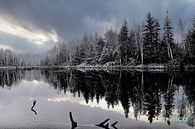 Game Of Chess - Beaver Pond in Winter by Elaine Manley