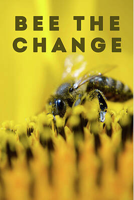 Royalty-Free and Rights-Managed Images - Bee the change 2 by Celestial Images