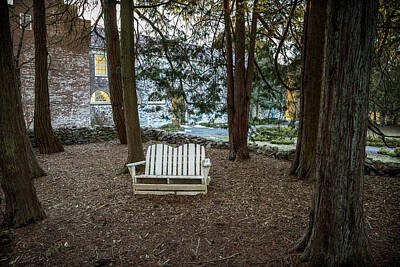Maps Rights Managed Images - Bench Beneath the Cedars Royalty-Free Image by David Beard