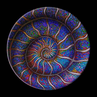 Beach Mixed Media - Binary Ammonite by Doug LaRue