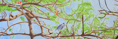 Animals Drawings - Bird in a Tree by Kathy Crockett
