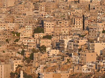 Animals Photos - Bird view on Arab city. Amman. Jordan. Middle East by Julien