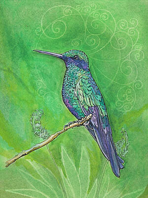 Animals Drawings - Bird Whisperer Hummingbird by Katherine Nutt
