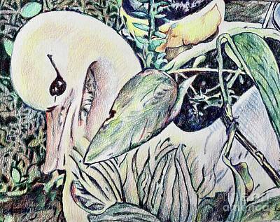 Roses Drawings - Bird with Plants by Carolyn Alston Thomas