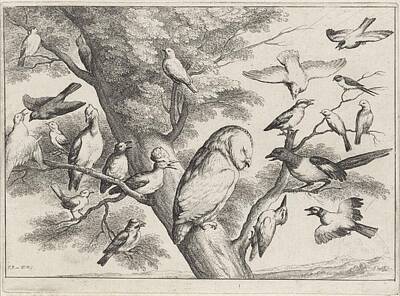Animals Paintings - Birds in a Tree, Wenceslaus Hollar, after Francis Barlow, 1654 by MotionAge Designs