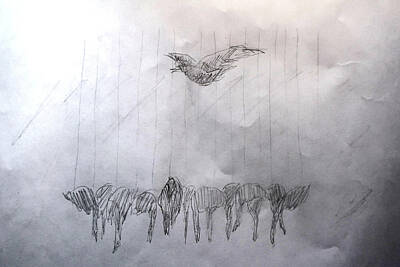 Animals Drawings - Birds by Lenka Rottova