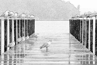 Andy Fisher Test Collection - Birds on Dock by WolfeboroGifts Galleries