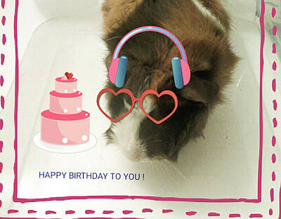 Chocolate Lover - Birthday Card Greetings- Guinea pig Birthday by Barbara Searcy