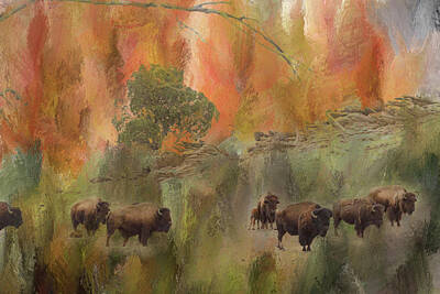 James Bo Insogna Rights Managed Images - Bison Herd Watching Royalty-Free Image by James BO Insogna