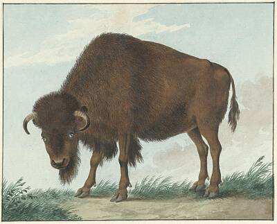 Mammals Paintings - Bison, Isaac van Haastert, 1808 by Bison