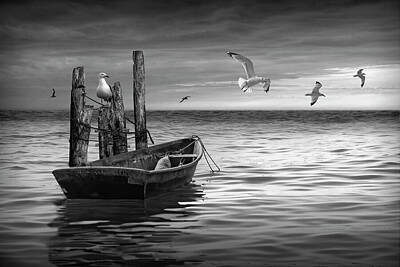 Randall Nyhof Royalty-Free and Rights-Managed Images - Black and White of Anchored Boat at Sunset with Flying Gulls by Randall Nyhof
